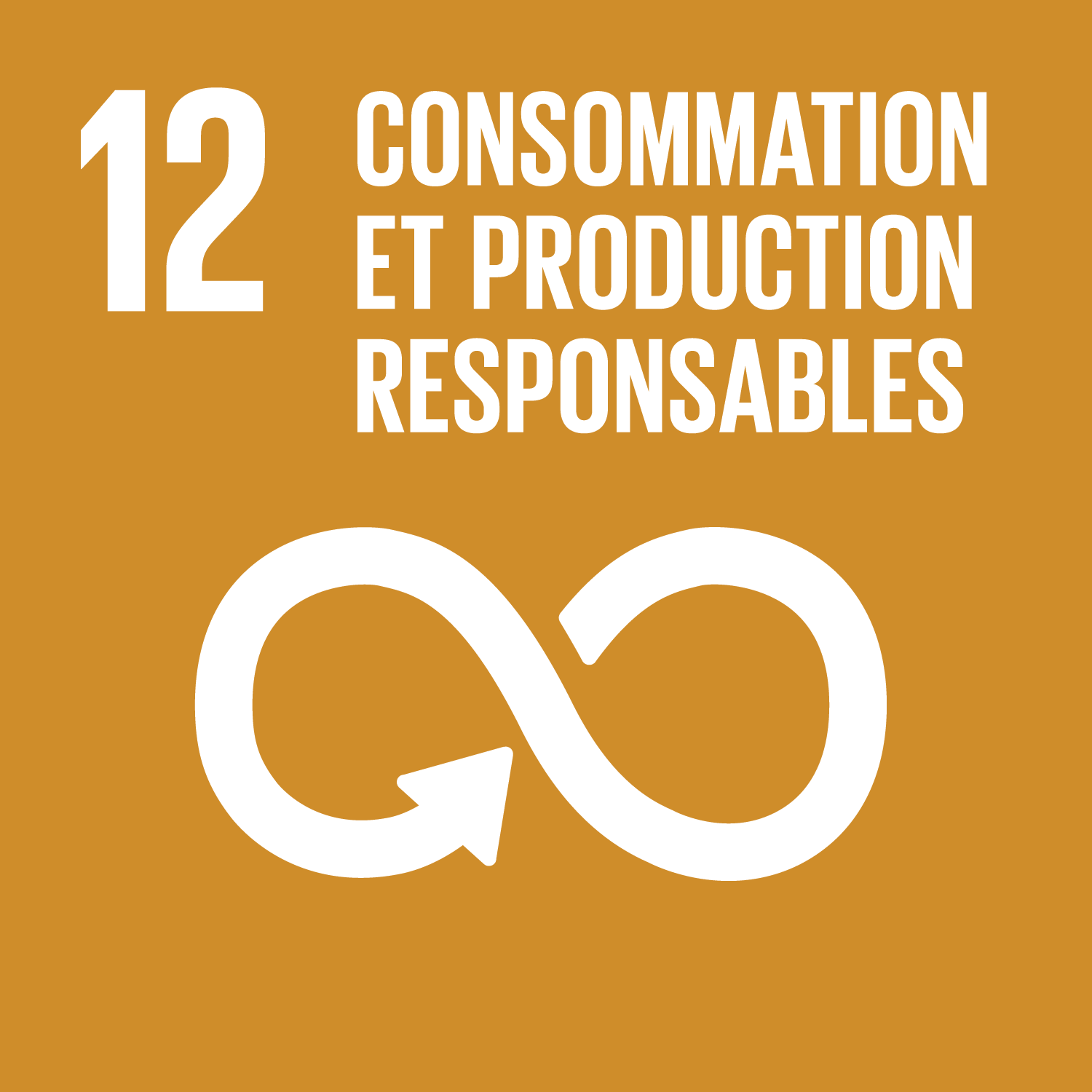 12. Consommation et reproduction responsables