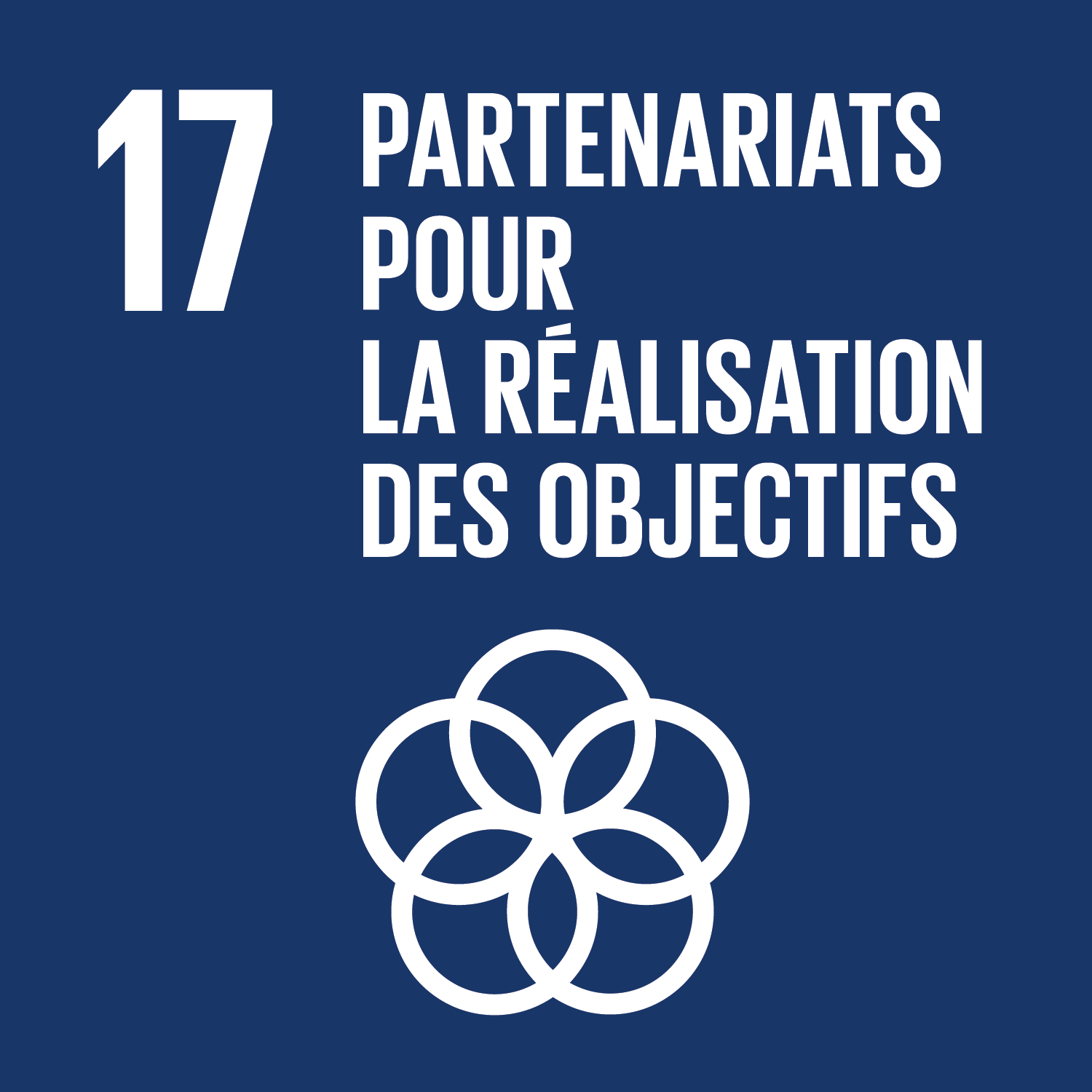 17. Partenariats pour la réalisation des objectifs